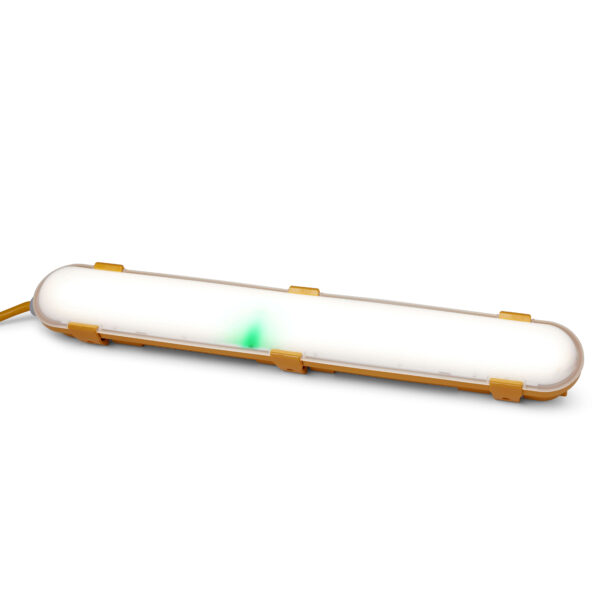 SITE LIGHT 1M CABLE & IP44 J-BOX